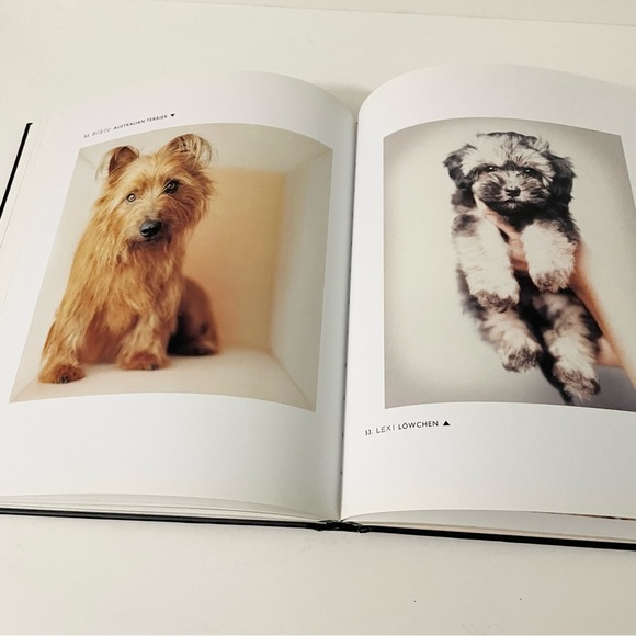 101 Salivations For The Love of Dogs Rachael Hale Book - Picture 13 of 16